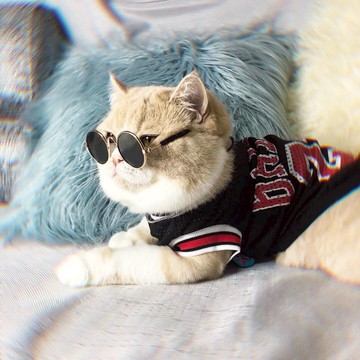 透氣薄款夏裝狗衣服寵物短袖 泰迪比熊博美英短幼犬貓咪背心【淘夢屋】