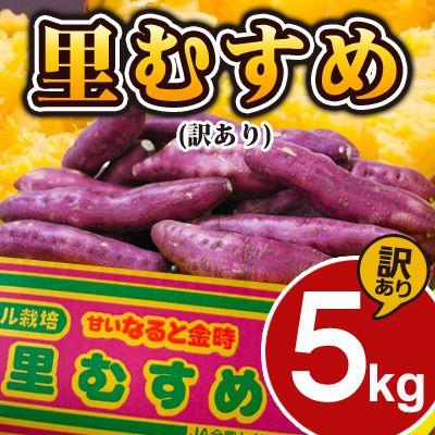 鳴門金時 さつまいも 里むすめ 訳あり 5kg 徳島県産 里浦産 不揃い 芋 サツマイモ さつま芋 薩摩芋 #訳あり・不揃いのなると金時里むすめ5キロ#