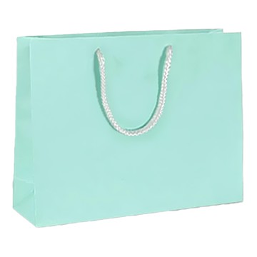 卡紙袋 橫款3號 10入  30 x 25 x 10cm  淺綠色  1包