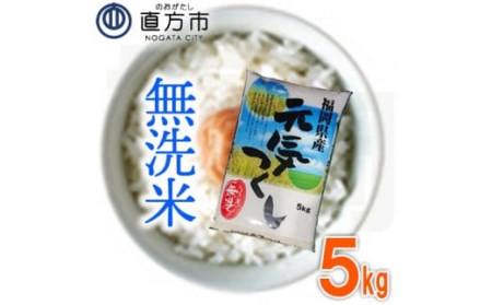 福岡県産 元気つくし 無洗米 5kg お米 ご飯 米