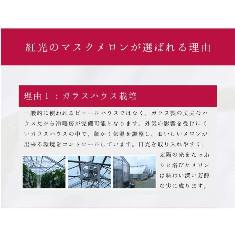 静岡産 アローマメロン 大玉 1玉 (1.4kg前後) 箱入り マスクメロン 果物 フルーツ ギフト 贈答用