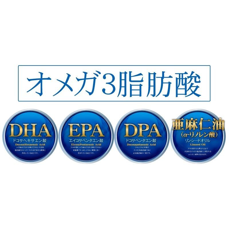 オメガ3 DHA EPA DPA  えごま油 亜麻仁油　6ヶ月分×2袋