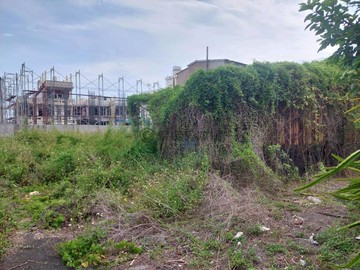 屏東林邊鎮安宮旁便宜建地(袋地)｜屏東縣林邊鄉鎮安段