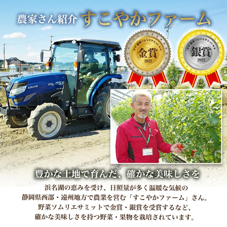 徳用 静岡産 肉厚 生きくらげ 900g 150g × 6パック  国産 食物繊維 たっぷり 木耳 栄養豊富 きのこ 生きのこ キノコ 生キノコ きくらげ キクラゲ 日本産