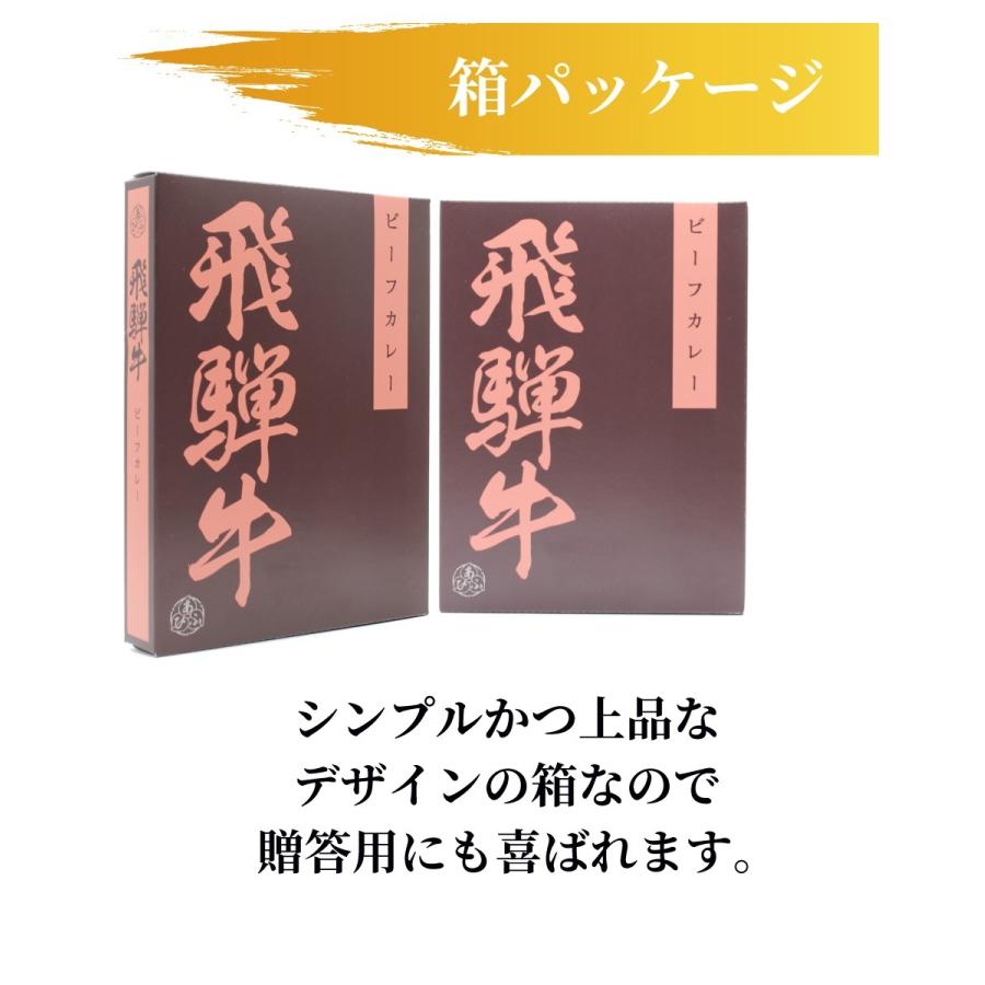 レトルトカレー 贅沢の極み飛騨牛ビーフカレー 2個セット  中辛 高級 レトルト食品 ギフト お中元 御歳暮 内祝い 父の日 お取り寄せ クリスマス