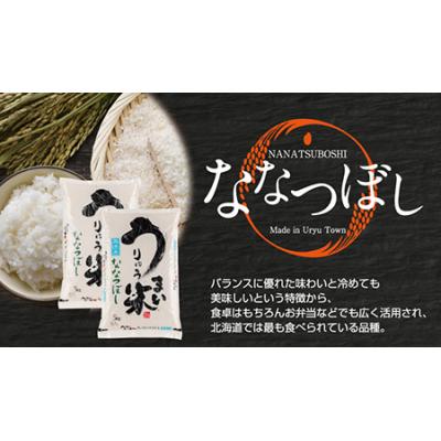 ふるさと納税 雨竜町 うりゅう米「ななつぼし」3kg×1袋[A27]