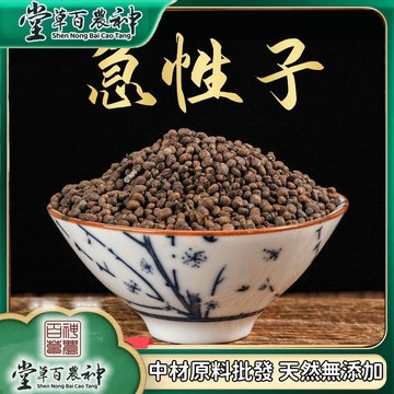 【神農百草堂】急性子  鳳僊花子 鳳僊子 急性子粉 自然曬幹泡水泡茶250g-500g【原材批發】