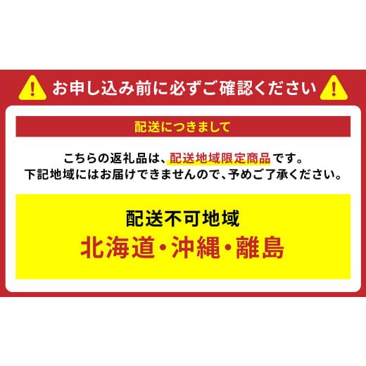 ふるさと納税 熊本県 八代市   特大 2段重 おせち 料理 3-5人前 お節 正月