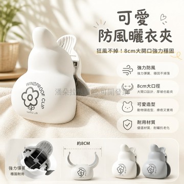 台灣出貨✨ 強力夾子 曬被夾 防風曬衣夾 塑料大號 衣物固定夾 床單曬架 居家晾曬