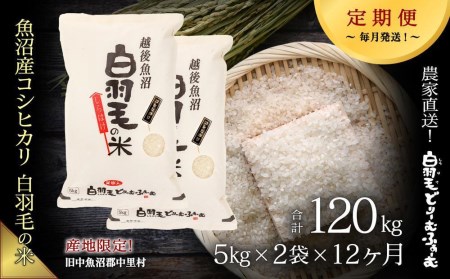 ≪令和5年産≫農家直送！魚沼産コシヒカリ「白羽毛の米」精米(5kg×2袋)×12回 120kg