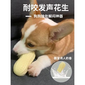狗狗玩具球耐咬磨牙發聲花生大型犬柯基法斗消耗體力咬膠解悶神器
