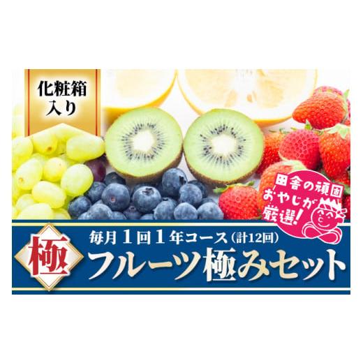 ふるさと納税 茨城県 つくばみらい市 田舎の頑固おやじが厳選！フルーツ極み定期便セット［化粧箱入り］