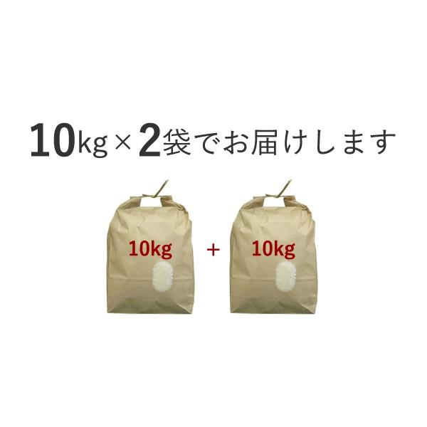 新米 令和5年産 重永農産 玄米 コシヒカリ 20kg 広島県産 10kg×2 送料無料 こしひかり 単一原料米 米 お米 国産