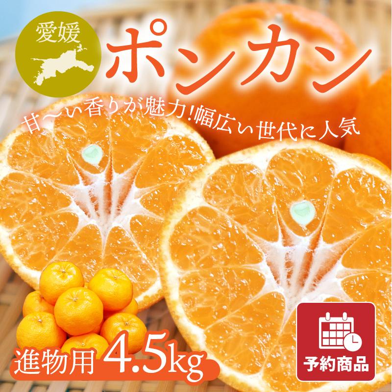 ポンカン ぽんかん 進物用 4.5kg 愛媛県産みかん みかん 柑橘類 予約商品