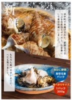 北海道浜中産　灯台つぶ(ボイルむき身)　300g×2パック