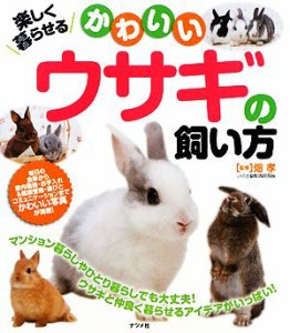  楽しく暮らせるかわいいウサギの飼い方／畑孝