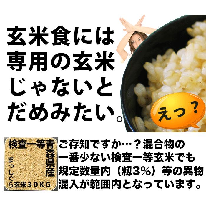 新米 米 玄米食 調整済 5年産 農家の食べているおいしい玄米10kg （5kg×2袋 小分け）オリジナル