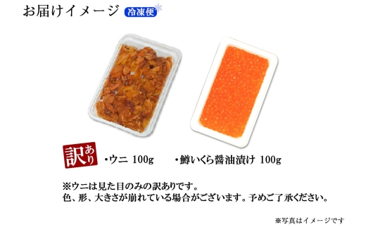 1260. 訳あり うに チリ産 冷凍 鱒 いくら 醤油漬け ウニ100g マスいくら 100g 雲丹 不揃い うに わけ あり 海鮮 丼 海鮮丼 刺身 うに丼 いくら丼 魚卵 自宅用 送料無料 北海道 弟子屈町