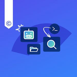 The Command Line for Everyone