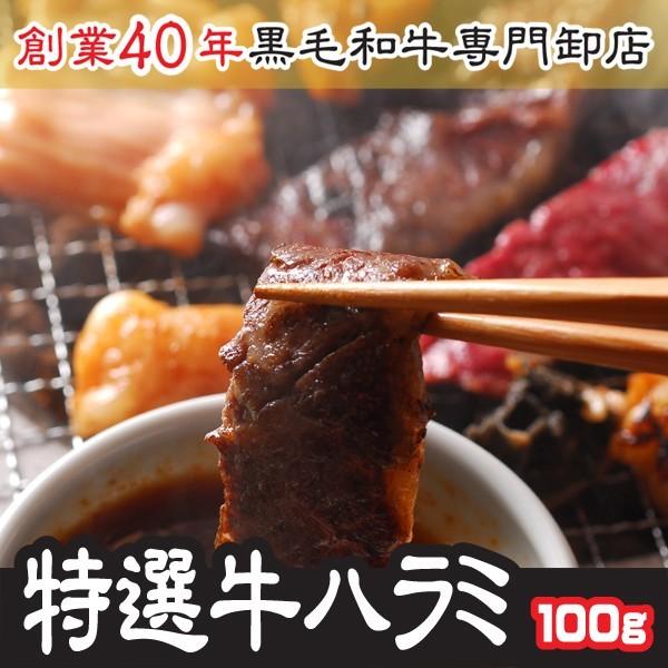 ハラミ 肉 ホルモン 特選 牛ハラミ トップチョイスランク 100g お試し