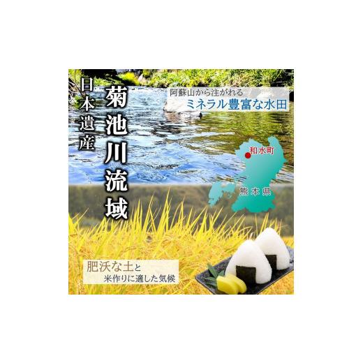 ふるさと納税 熊本県 和水町  令和5年産 新米 無洗米 ほたるの灯り 15kg