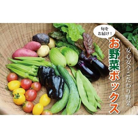 ふるさと納税 新鮮お野菜ボックス（京都・京丹波町産）≪栽培期間中農薬不使用の安心安全こだわり野菜≫[010SN001] 京都府京丹波町