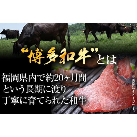 ふるさと納税 訳あり！博多和牛焼肉切り落とし　1kg（500g×2p） 福岡県田川市