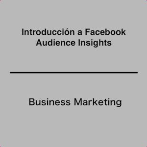 Introducción a Facebook Audience Insights