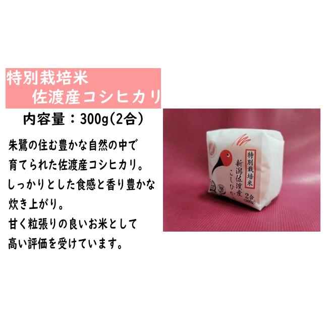 ギフト 送料無料 令和５年産 新潟の輝１２個セット 米 お米 白米 精米 新潟 産地直送