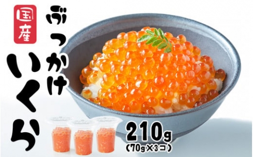 いくら 国産 210g 70g × 3個) 醬油漬け (鮭卵) 冷凍 最上級グレード 3特 