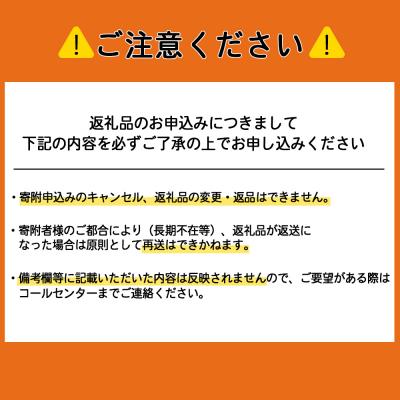 ふるさと納税 天塩町 天塩しじみラーメン10食入り