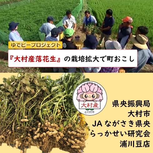 国産　塩ゆで落花生　200g×2ヶ入　ギフト商品