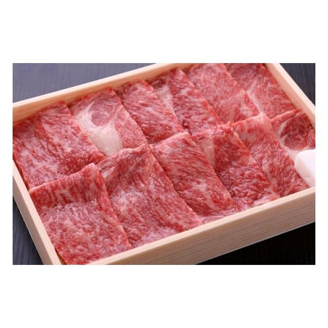 ふるさと納税 滋賀県 守山市 近江牛鉄板・焼肉用ロース肉　500g