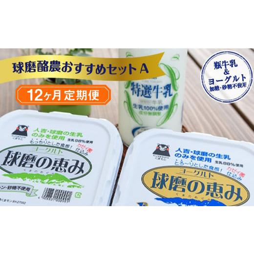 ふるさと納税 熊本県 湯前町 球磨酪農おすすめセットA（瓶牛乳ヨーグルト加糖・砂糖不使用）