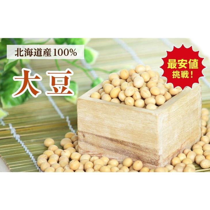 トヨマサリ大豆　500g 大粒2.8分   メール便送料無料　2022年産 新物　北海道産