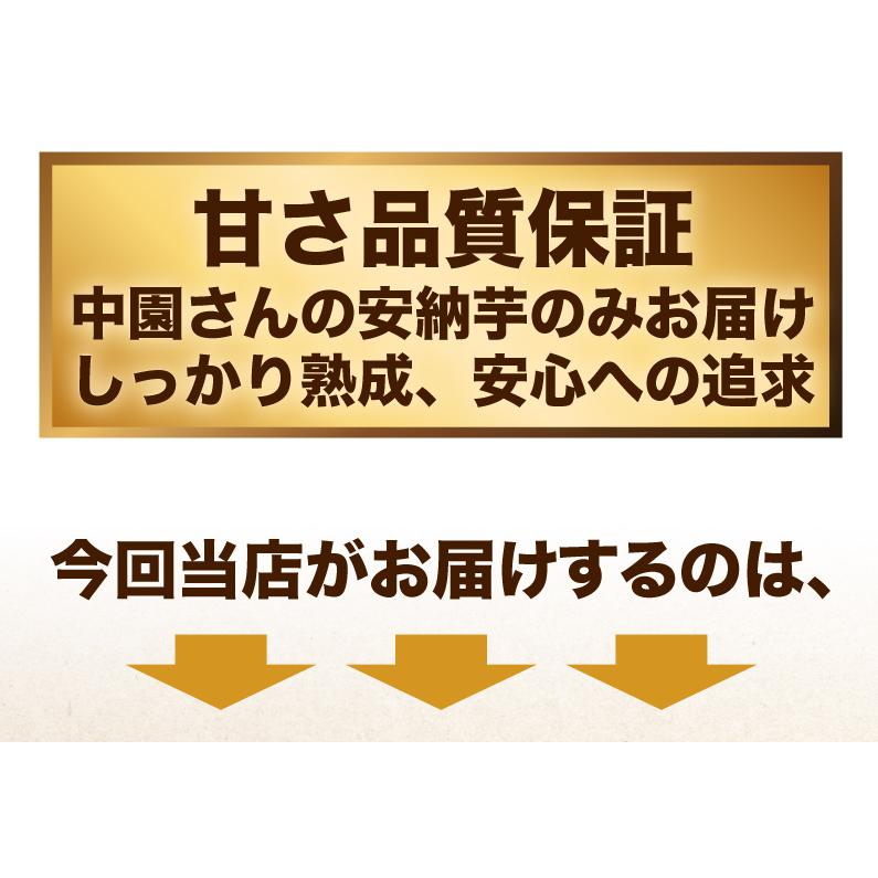 さつまいも 安納芋 鹿児島 種子島産 生芋 糖度40度 中園ファームの熟成プレミア安納芋 S-2S 10kg ギフト 産地直送 送料無料 S常