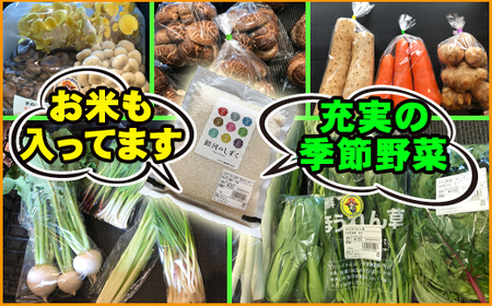 産地直送 季節の野菜とお米 詰め合わせ ／ 野菜 米 セット