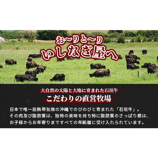 ふるさと納税 沖縄県 石垣市 AB-20 石垣牛特選サーロインステーキ200g×3枚