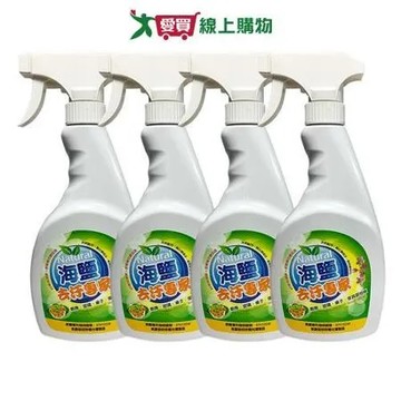 環寶靈 海鹽去汙專家 500ml(4瓶/組)