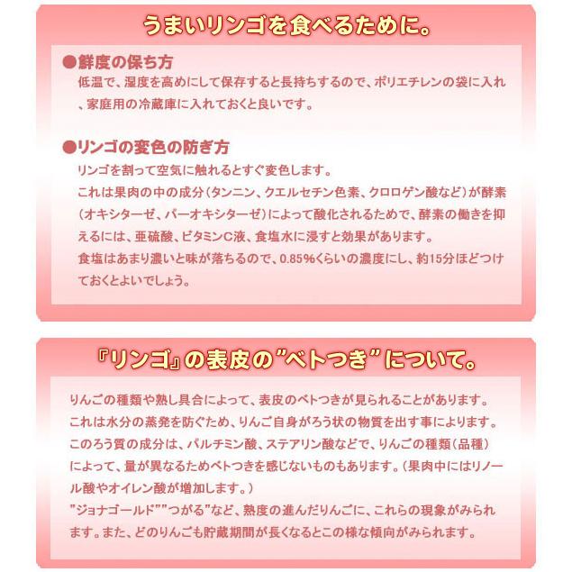 サンふじ青森りんご（約10kg）A級品 竹嶋有機農園 直送につき代引・同梱不可