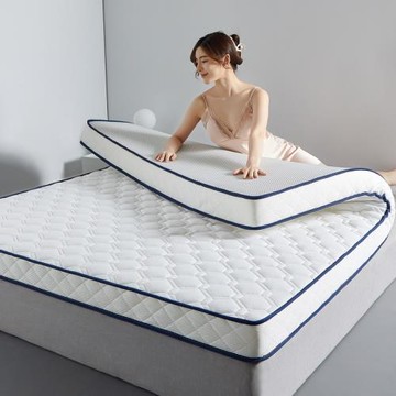 2025新款雙人立體乳膠硬質棉護脊床墊遮蓋物