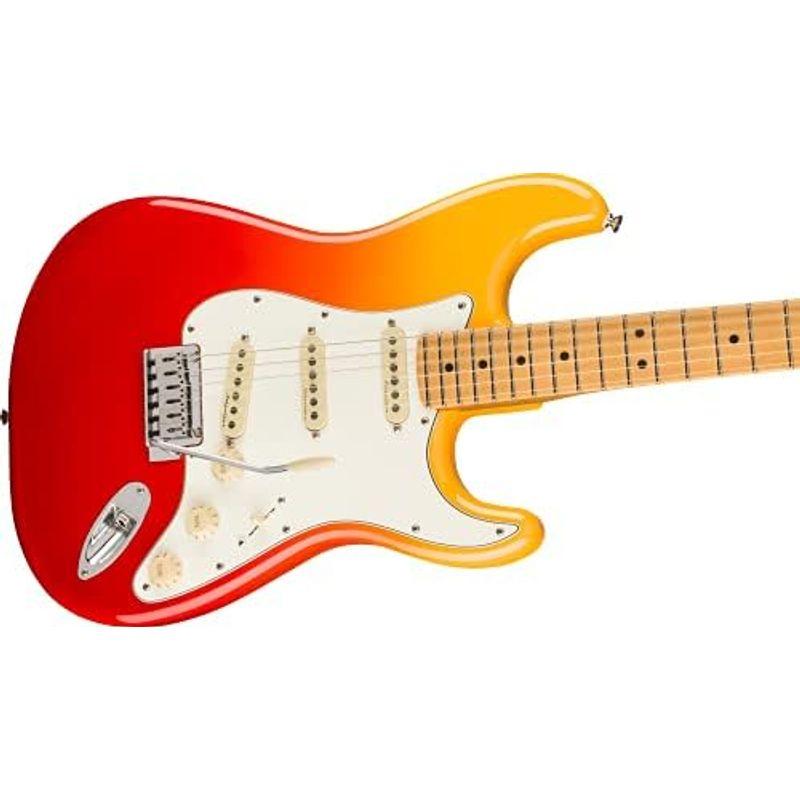 エレキギター Fender Player Plus Stratocaster?, Maple Fingerboard, 3-Color Su