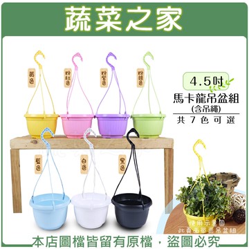 【蔬菜之家005-D77】4.5吋馬卡龍吊盆組 (含吊繩) 共7色可選