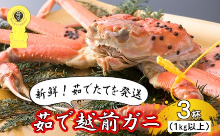 茹で越前ガニ食通もうなる本場の味をぜひ、ご堪能ください。1kg以上×3杯　越前がに 越前かに 越前カニ ずわいがに かに カニ ボイルガニ