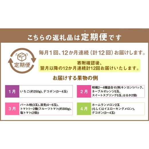 ふるさと納税 熊本県 熊本便り！旬のフルーツ詰め合わせ定期便