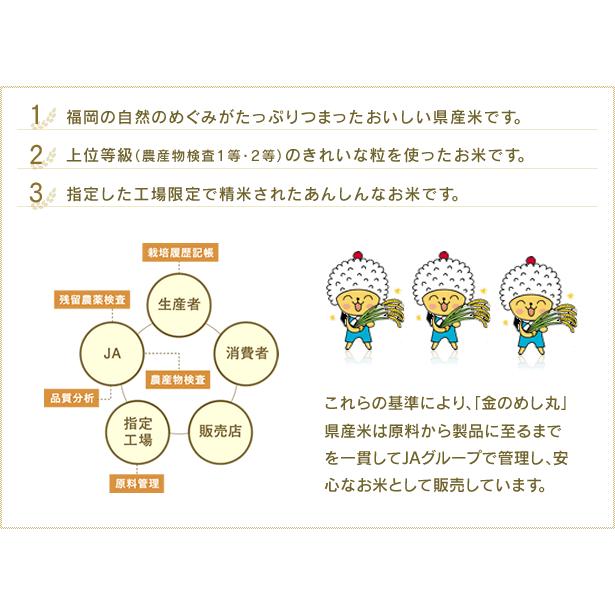 元気つくし 金のめし丸マーク付 福岡県産 10kg(5kg×2) 精米 令和5年産・新米