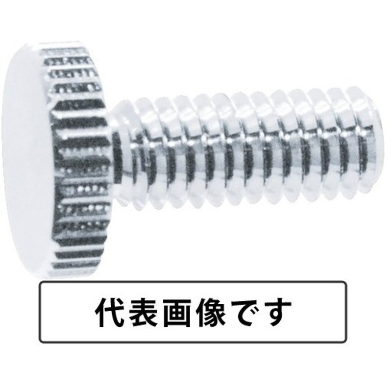 高評価のクリスマスプレゼント いたずら 盗難防止 Ｍ6×20ステンレスピン付きヘックスローブ特殊ネジボルト4本組+L型レンチ1本付き  ナンバープレートにも