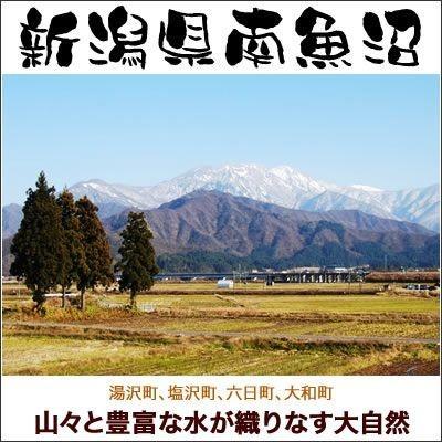 風呂敷包みギフト 3kg 南魚沼産コシヒカリ お米 令和5年産 新潟産 送料無料 （北海道、九州、沖縄除く）