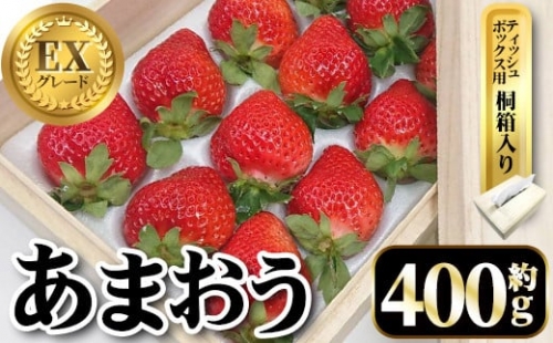 ＜先行予約受付中・数量限定＞2024年2月からお届け！プレミアムあまおうEX ティッシュボックス用特別仕様の桐箱入り(約400g)＜離島配送不可＞