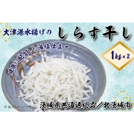 ふるさと納税 DS-6大津港水揚げのしらす干し2kg（1kg×2個）シラス 茨城県行方市